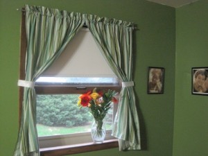 Window and curtains